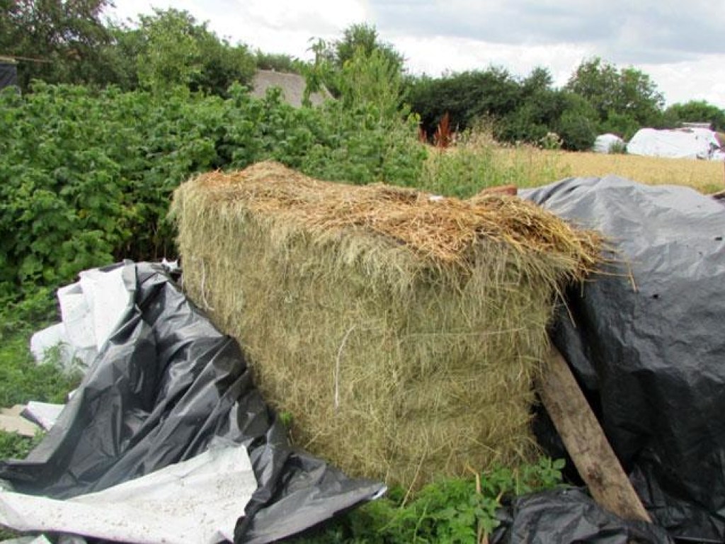25-летний парень украл тонну сена в селе на Полтавщине