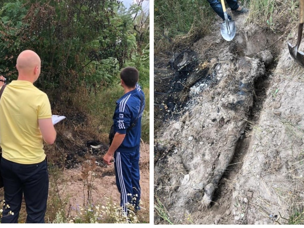 Сожгли и закопали парня: под Киевом строители отличились зверским убийством (ФОТО, ВИДЕО)