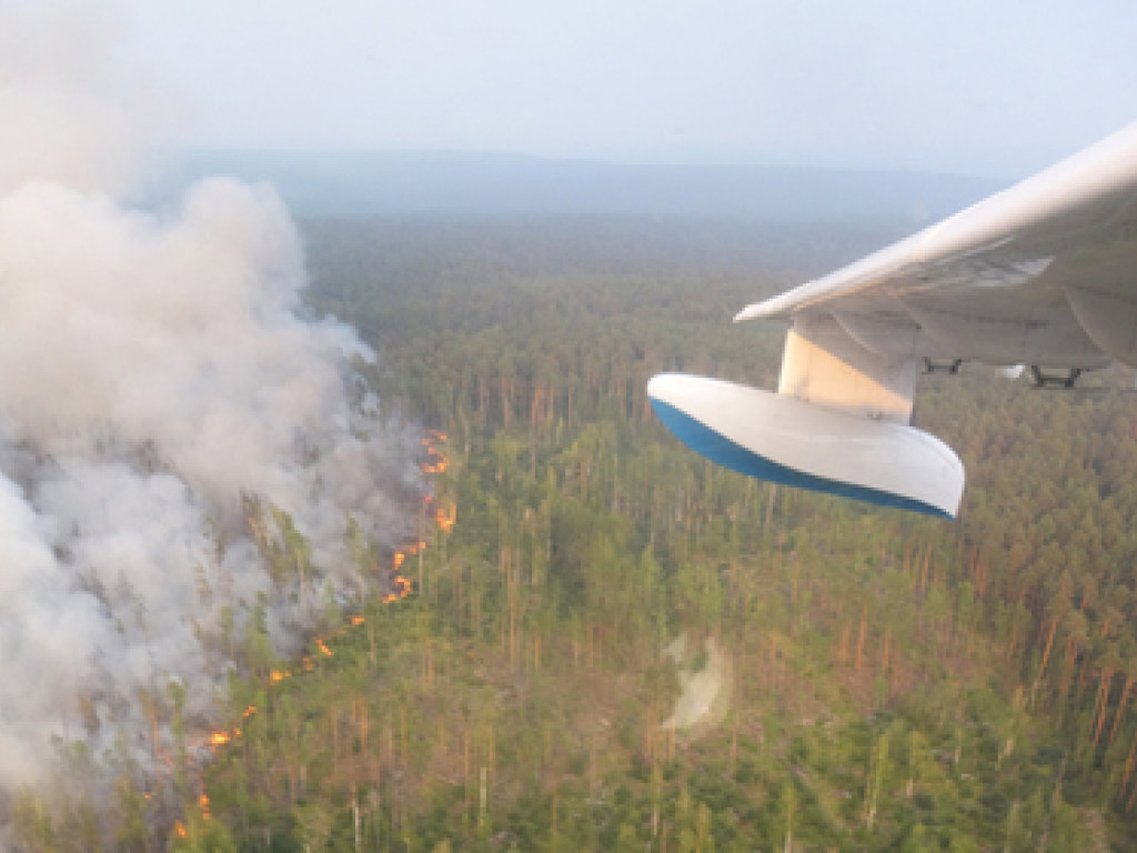 Пожары в Сибири начали тушить с применением авиации
