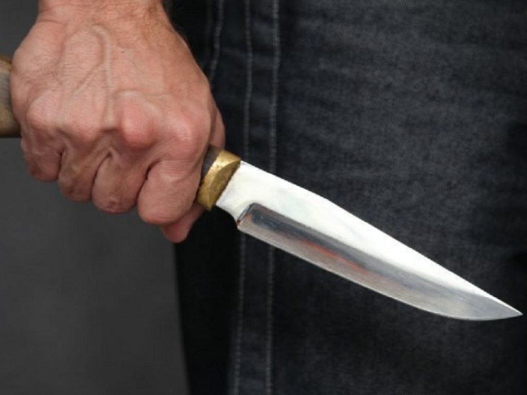 Неадекватный мужчина набросился на копов с ножом под Киевом (ФОТО, ВИДЕО)
