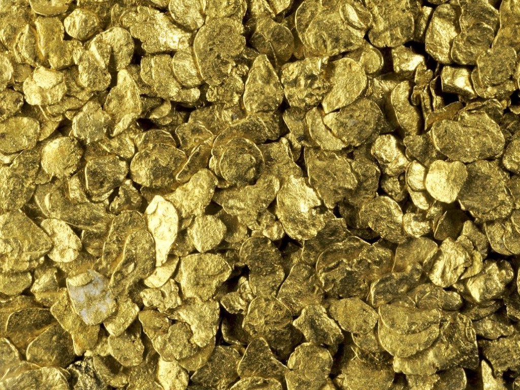 Ученые нашли грибы, которые выделяют золото