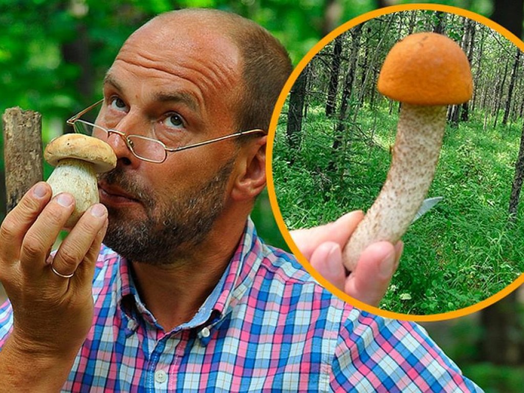Эксперты назвали грибы для повышения потенции
