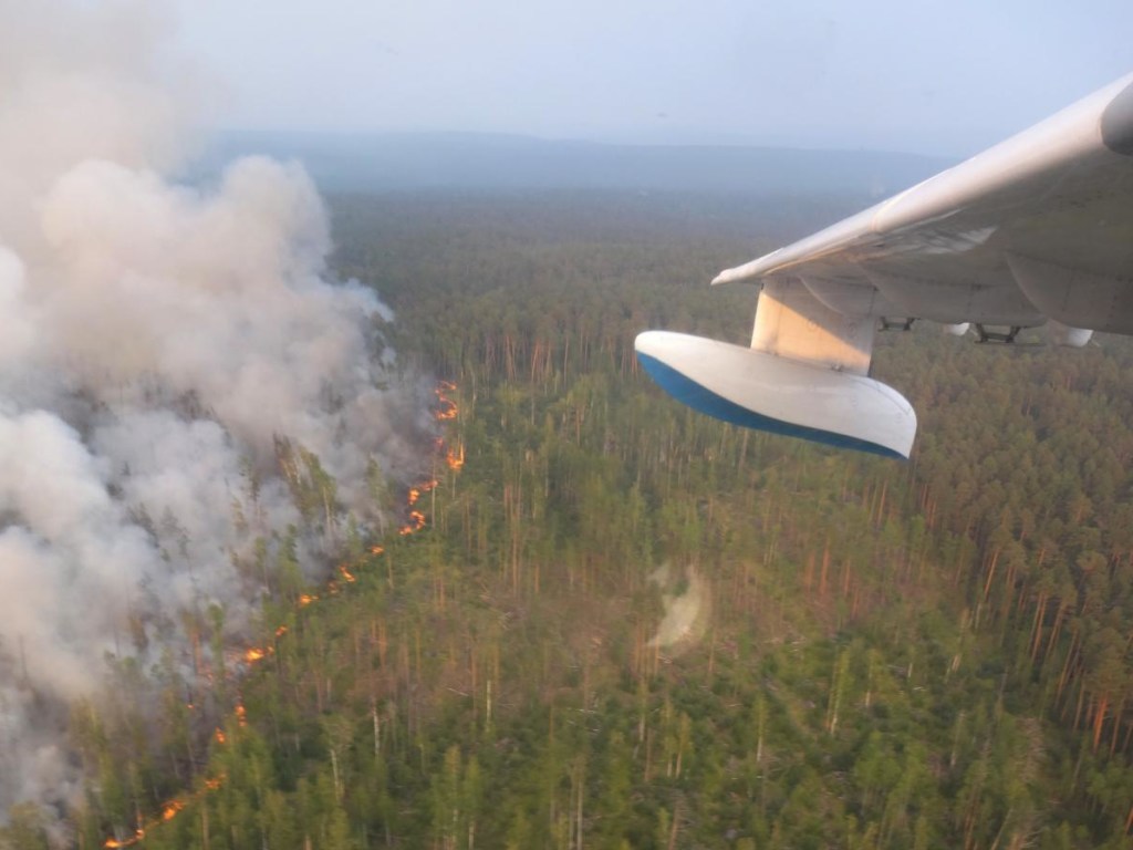 Эколог о пожаре в Сибири: огонь ликвидировали только на 10% площади лесов