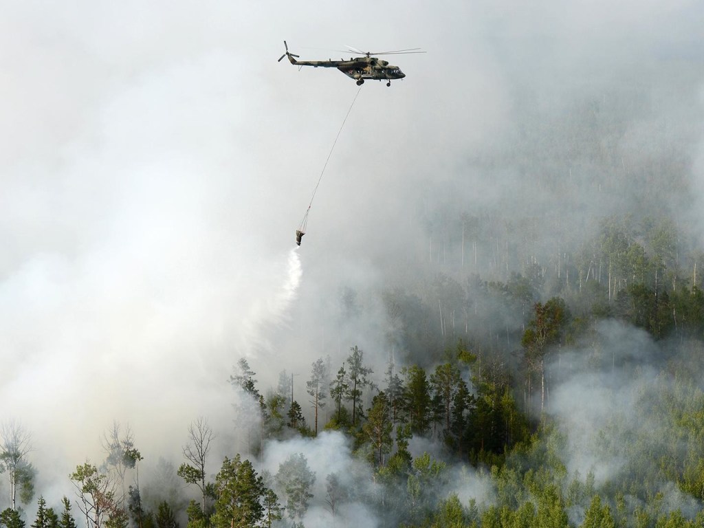 За период пожара в Сибири в атмосферу попало 50 мегатонн углекислого газа &#8212; эколог