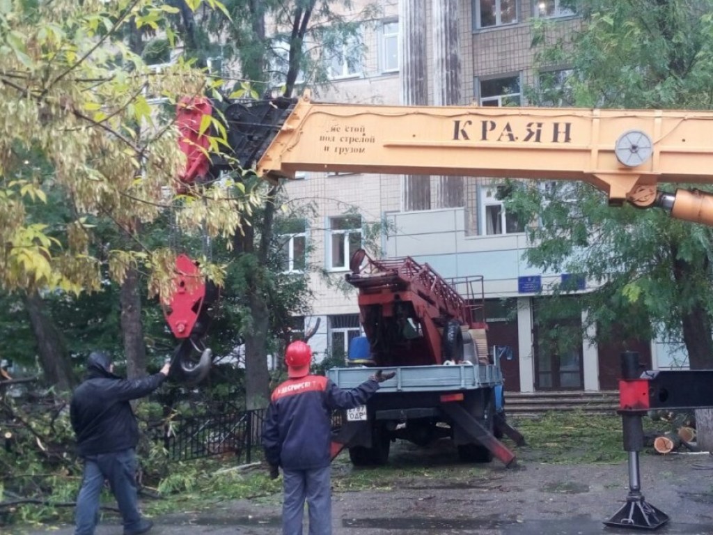 Оттаскивали краном: В Одессе большое дерево рухнуло на пятиэтажный дом (ФОТО)