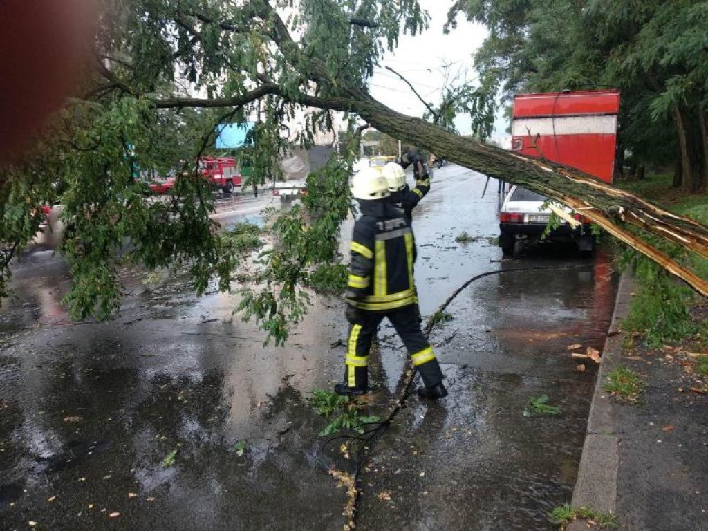 Повреждены автомобили: В Киеве ураганом повалило деревья (ФОТО, ВИДЕО)