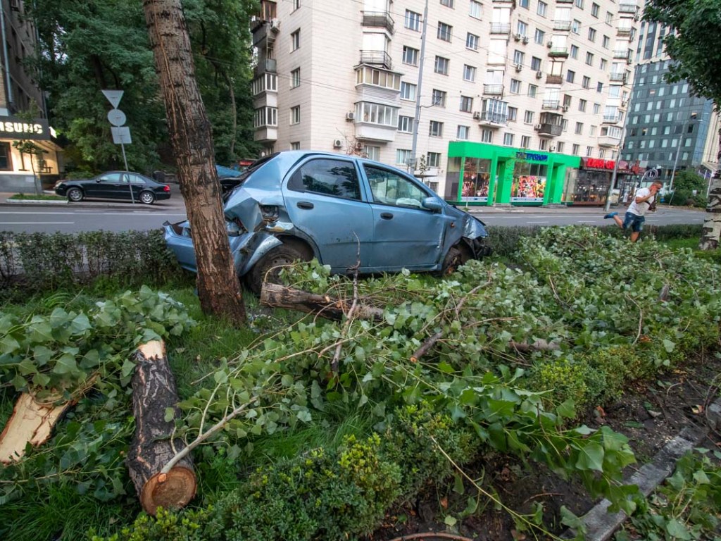 На Печерске в Киеве из-за пешехода-нарушителя Chevrolet врезалось в дерево на бульваре (ФОТО, ВИДЕО)