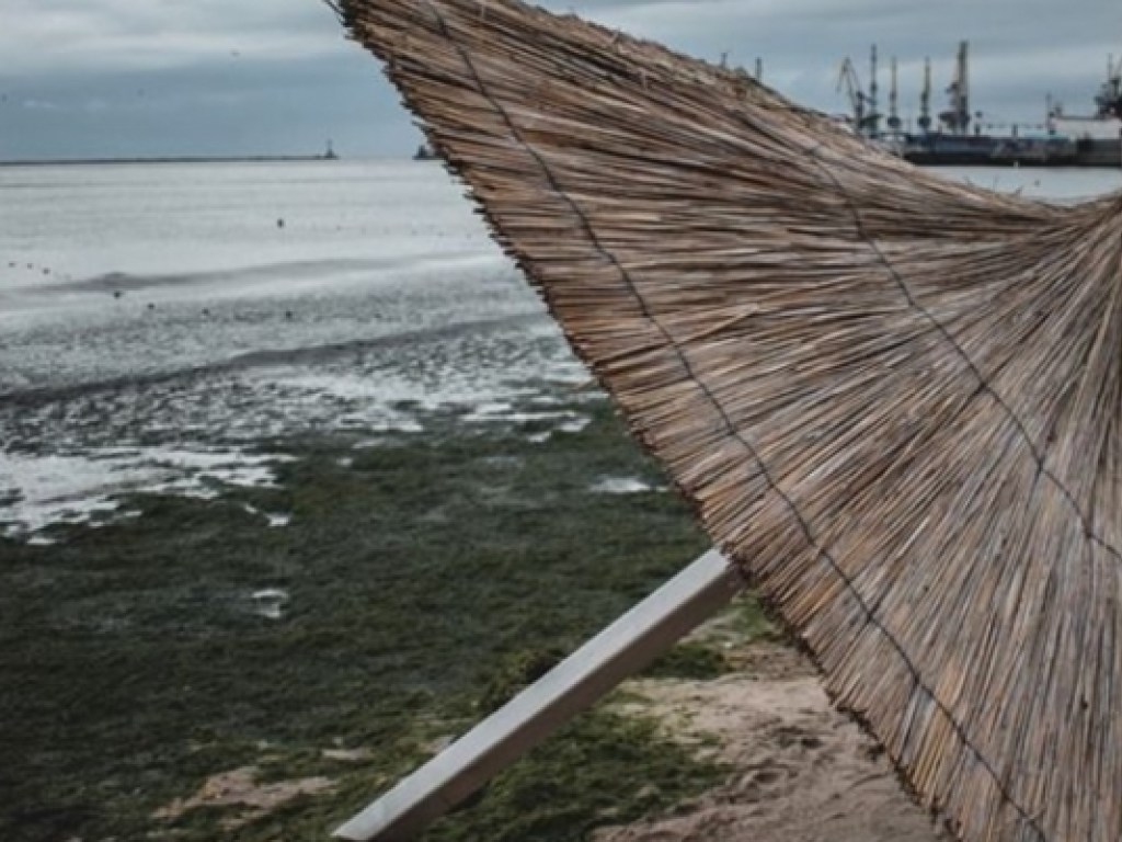 Пляжи Бердянска после шторма позеленели (ФОТО)