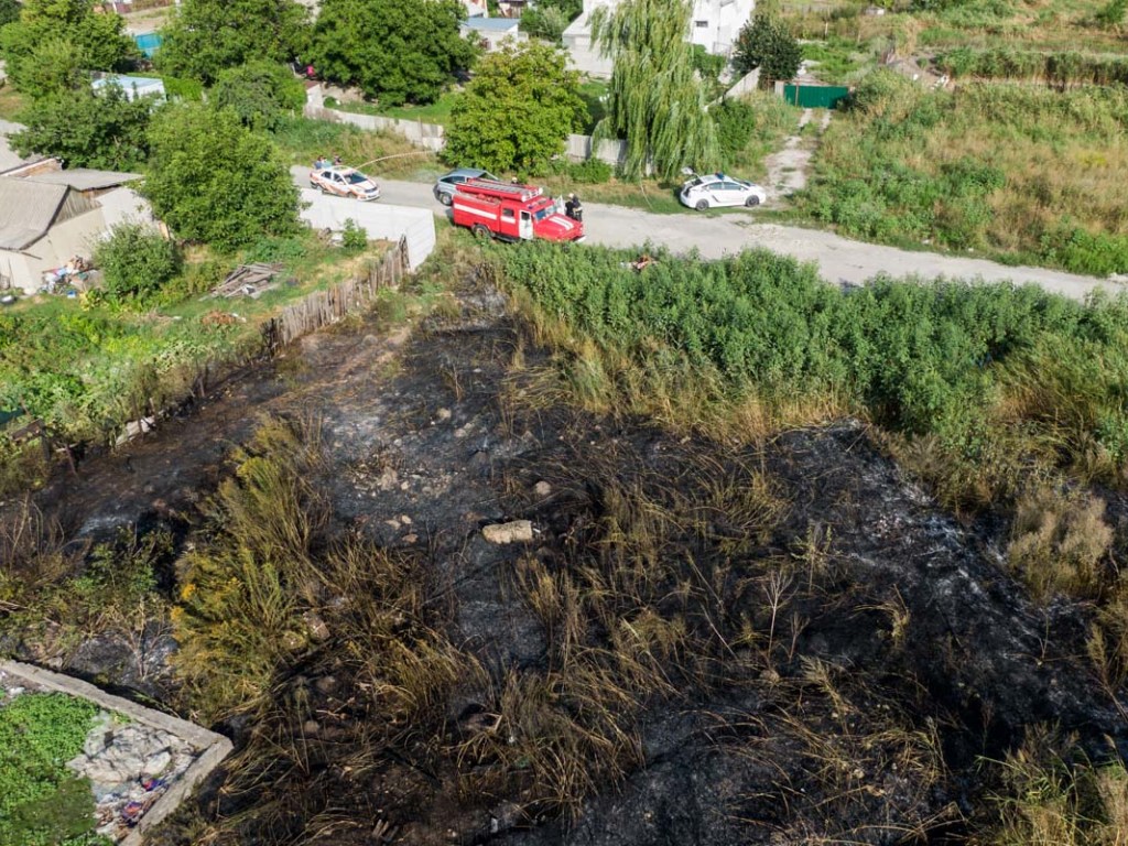 В Днепре среди сгоревшей травы нашли человеческие останки (ФОТО)