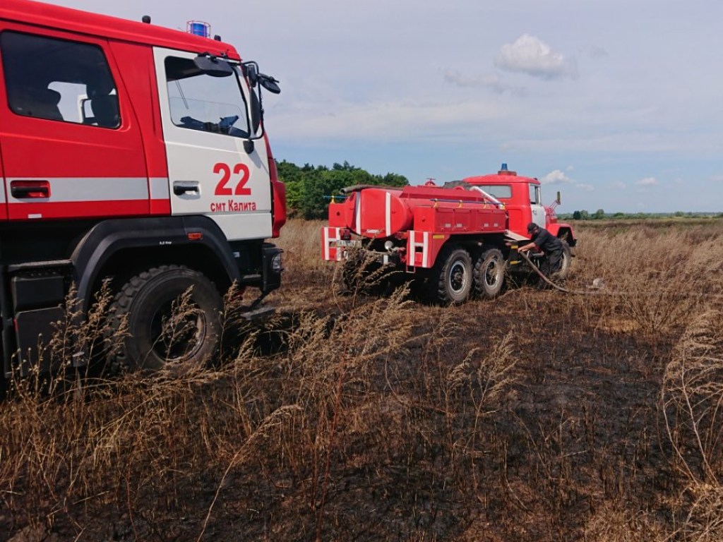 Под Киевом спасатели вторые сутки тушат торфяники (ФОТО)