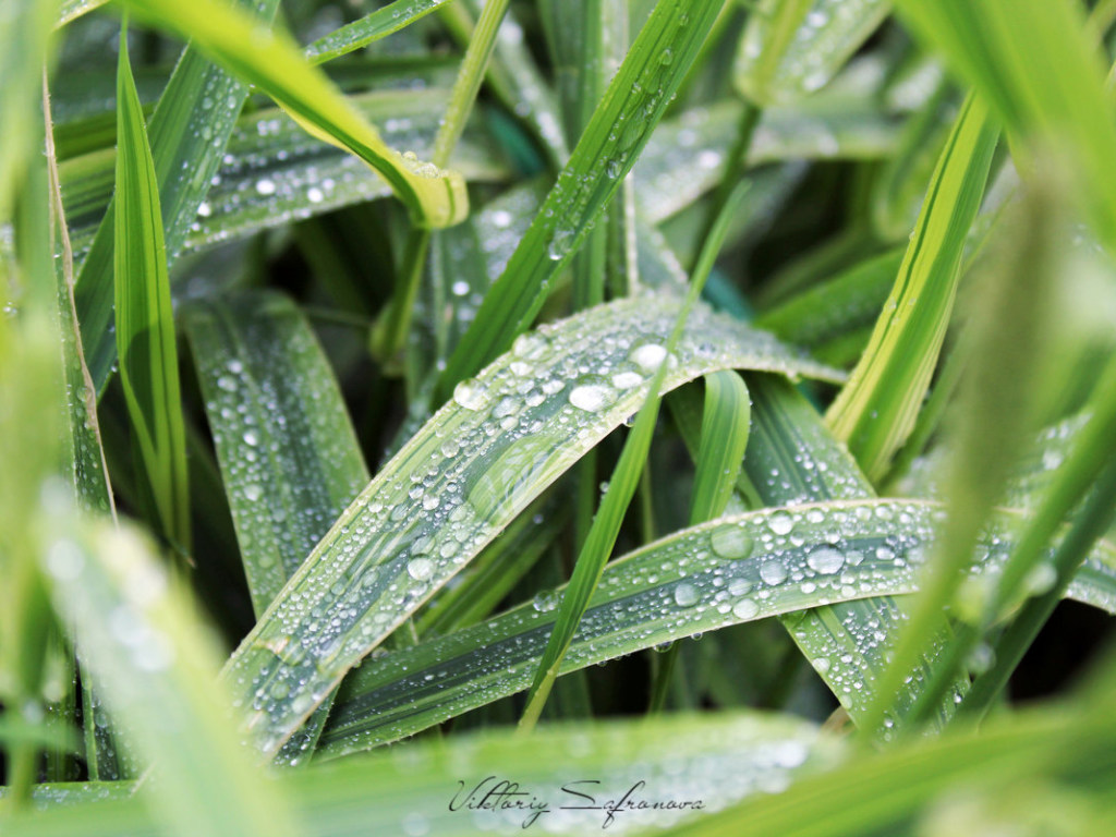 Синоптик:  В воскресенье  в Украине будет тепло и солнечно