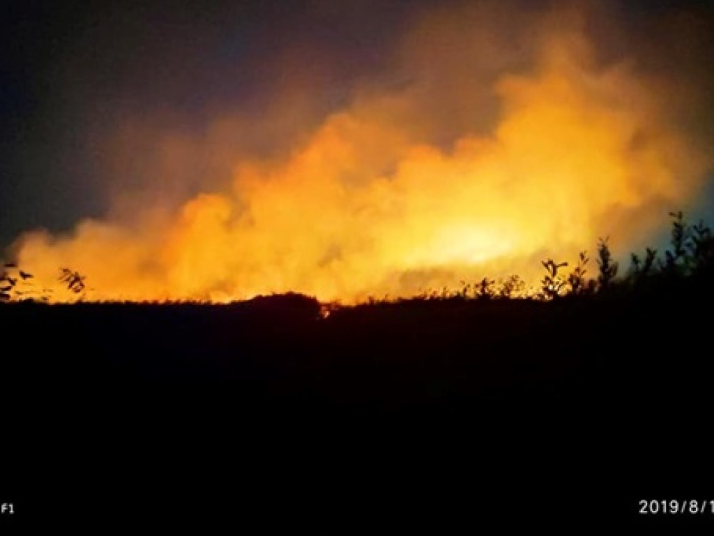 В Полтавской области загорелись торфяники (ФОТО, ВИДЕО)