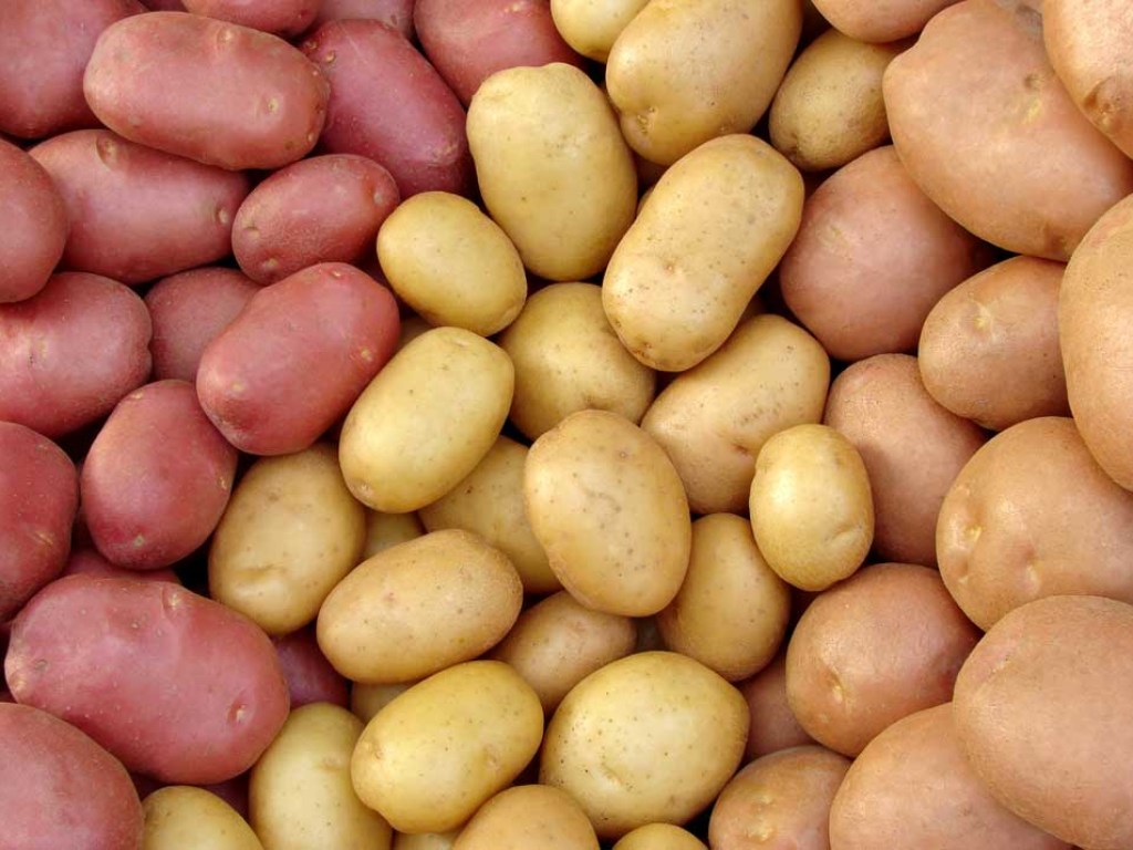 Незаменим при гипертонии: Ученые рассказали о полезных свойствах картофеля