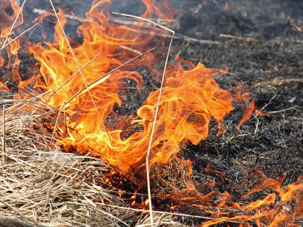 78-летний житель Полтавской области жёг траву и получил ожоги рук, ног, лица