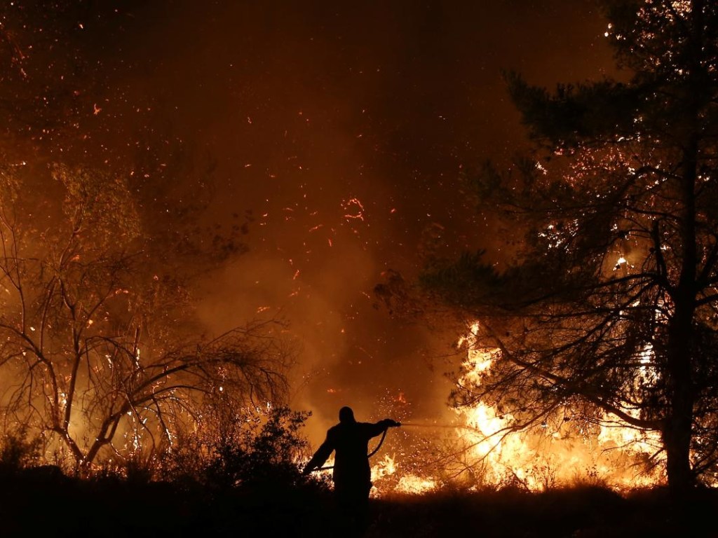 В Киеве и области объявили чрезвычайный уровень пожарной опасности
