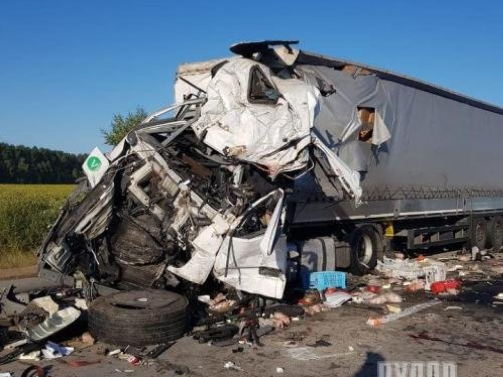 На Житомирщине столкнулись 2 грузовика: смяло, как консервные банки, водители погибли (ФОТО)