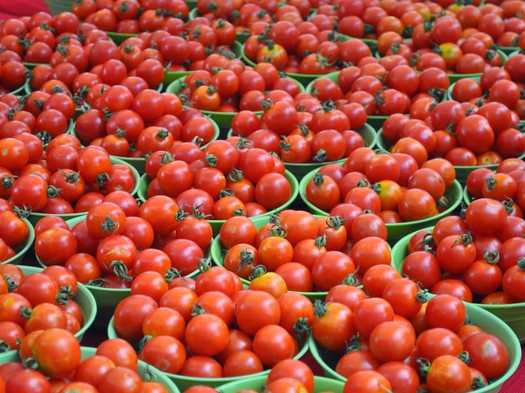 Снимают воспаления и укрепляют кости: врач поведал о целебных свойствах томатов