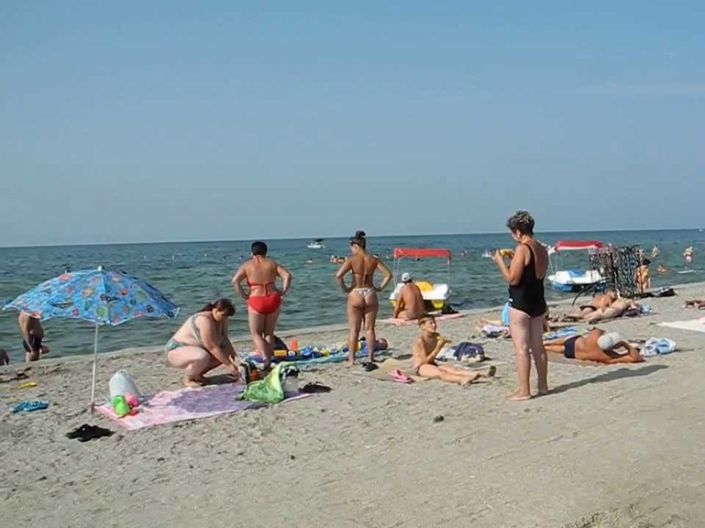 На пляже Скадовска обезьяна срывала купальники с девушек