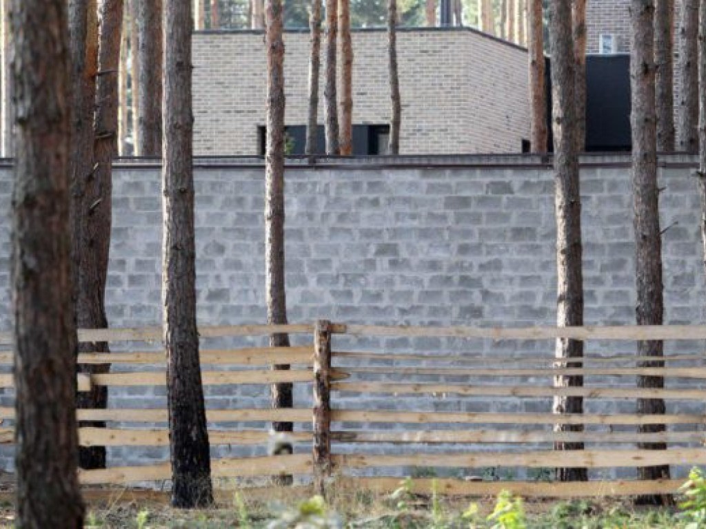 Прикрываясь Зеленским: Лес на Киевщине огородили капитальным забором