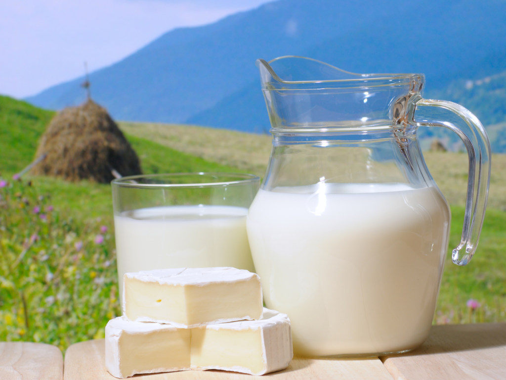 Эстонские ученые развеяли мифы о вреде молока