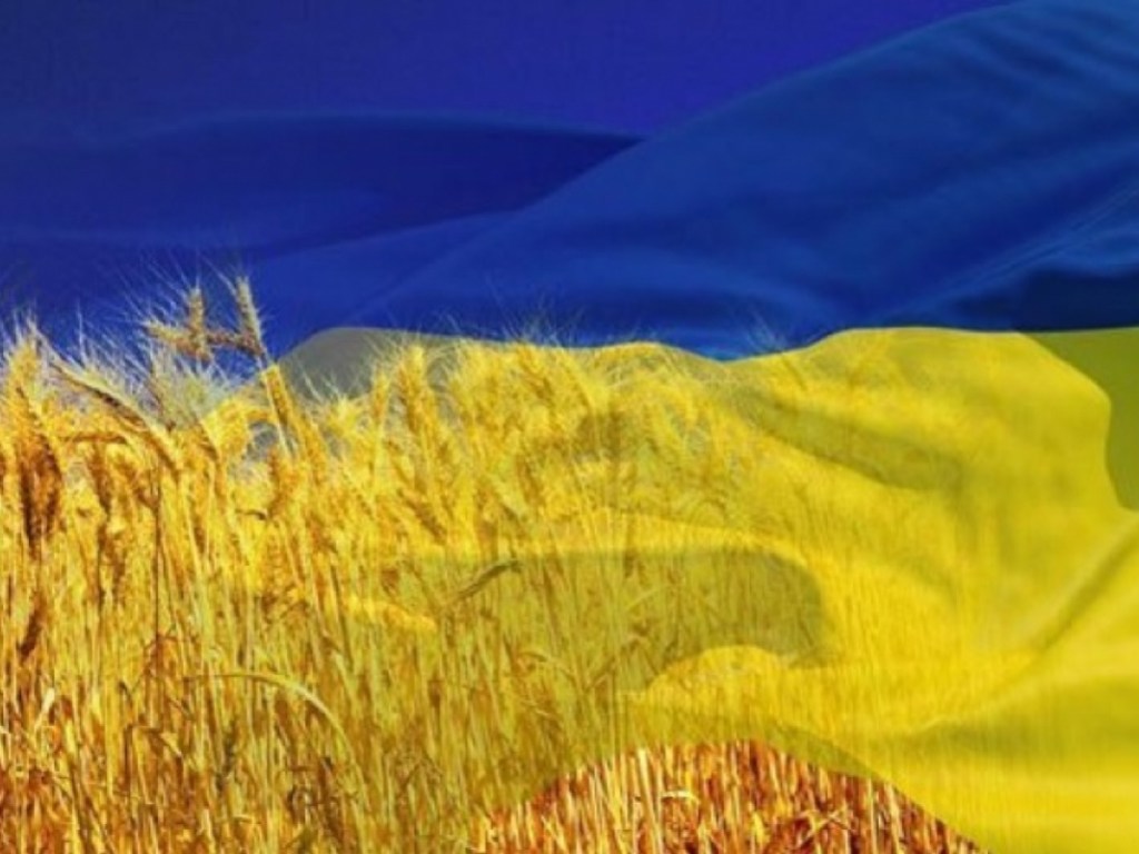 Западные опекуны будут строить ту Украину, которая им нравится – политолог