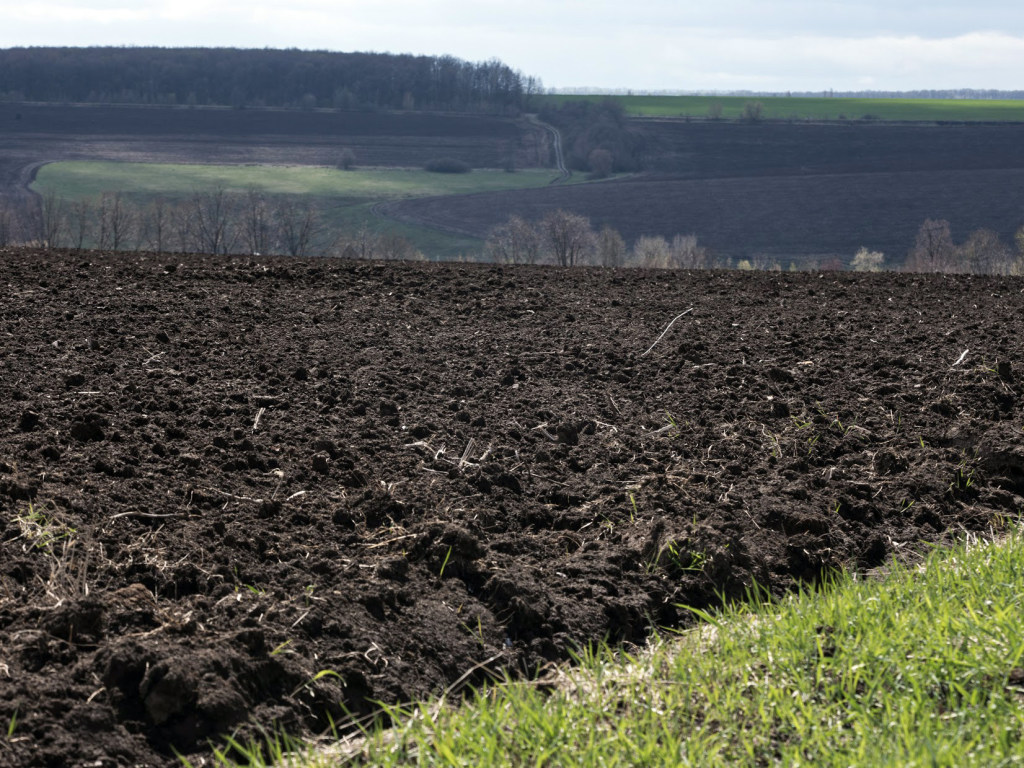 В Украине нужна инспекция для контроля над правильностью использования земель – эксперт
