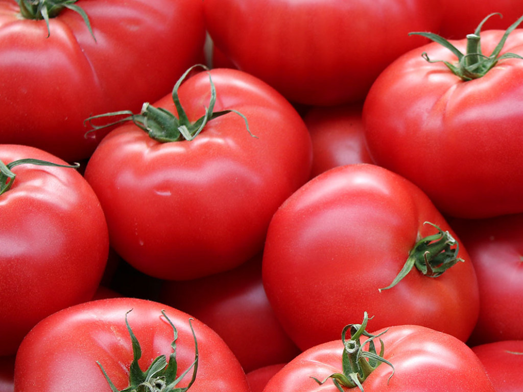 Медики заявили преимуществе приготовленных помидоров над сырыми  