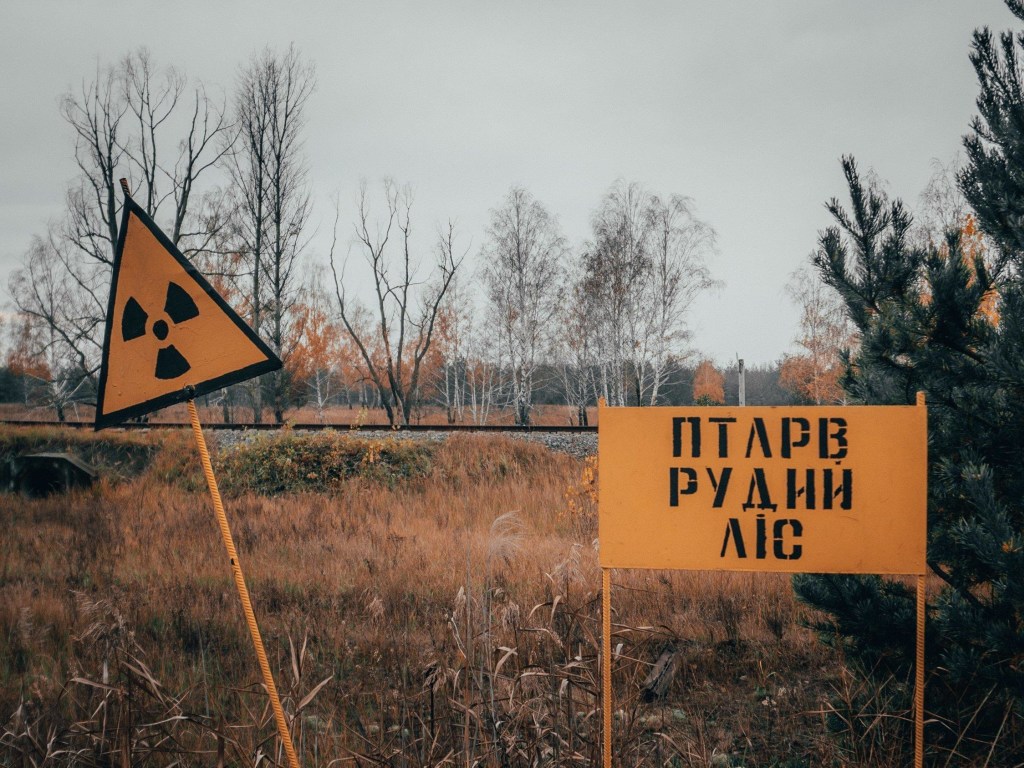 В Чернобыльской зоне загорелся рыжий лес: ветер несет дым в сторону Киева