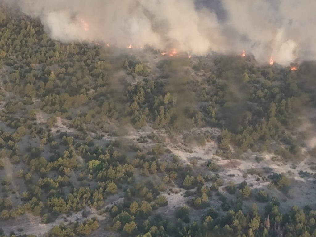 Огонь охватил 10 гектаров: в Черниговской области в лесу начался пожар (ФОТО)