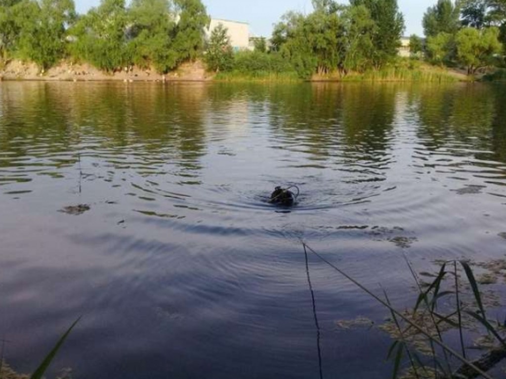 На Закарпатье в русле реки Тиса обнаружили тело парня