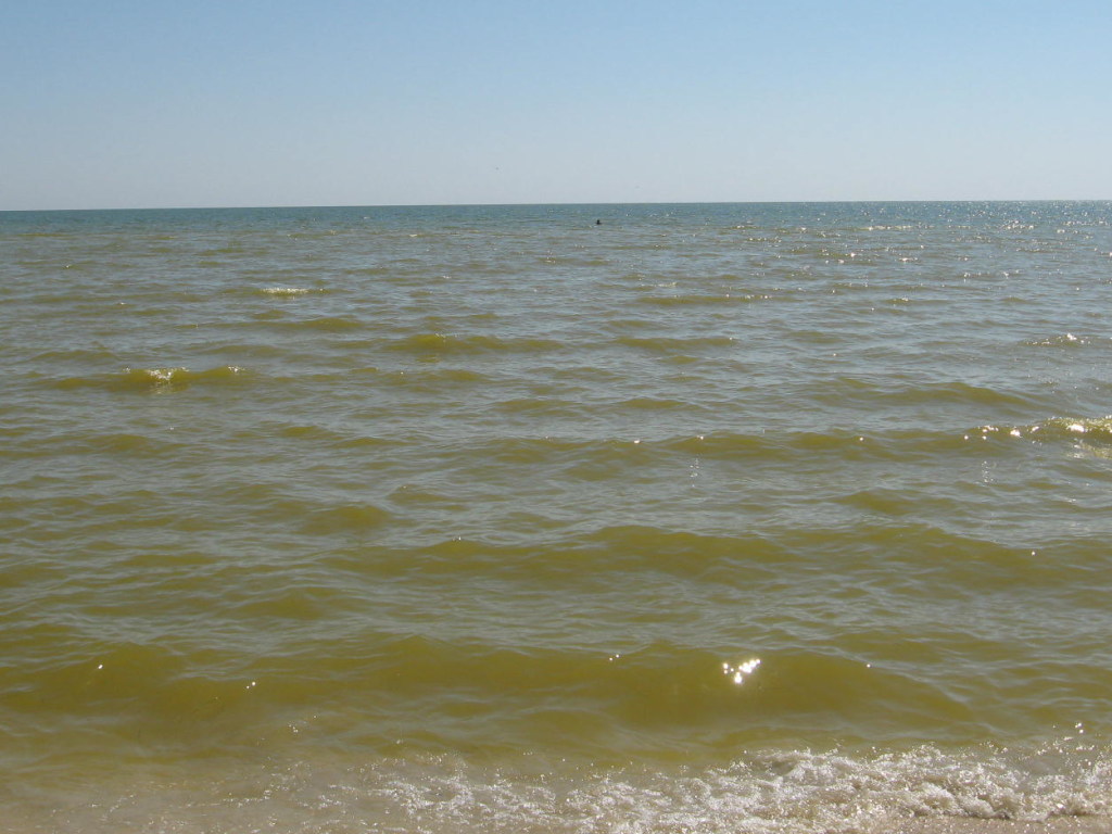 Побережье Азовского моря окрасилось в черный цвет: что случилось (ВИДЕО)