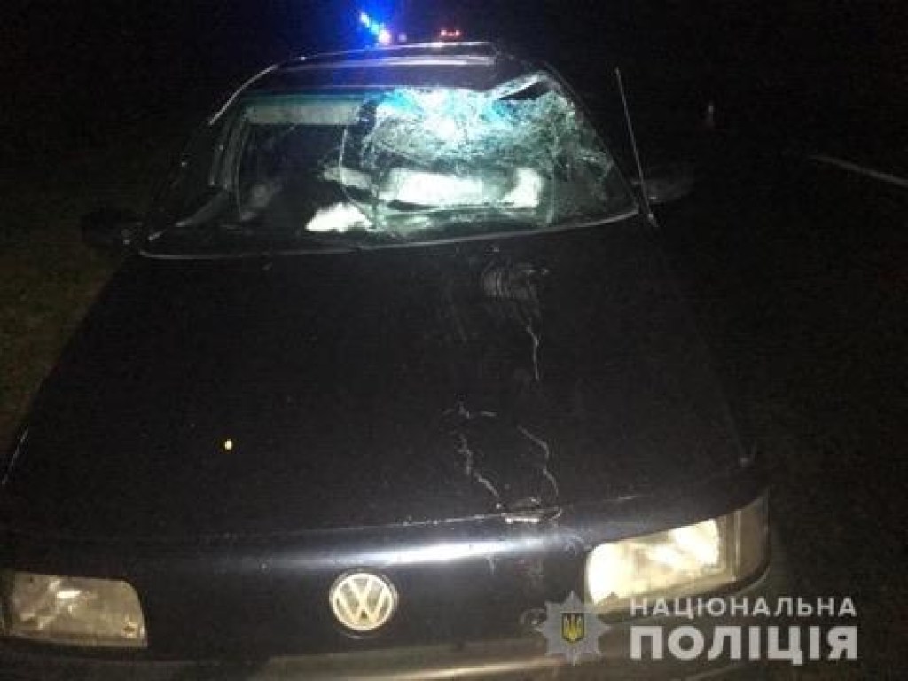 На Прикарпатье 19-летний водитель за рулем Volkswagen насмерть сбил пожилого велосипедиста (ФОТО)