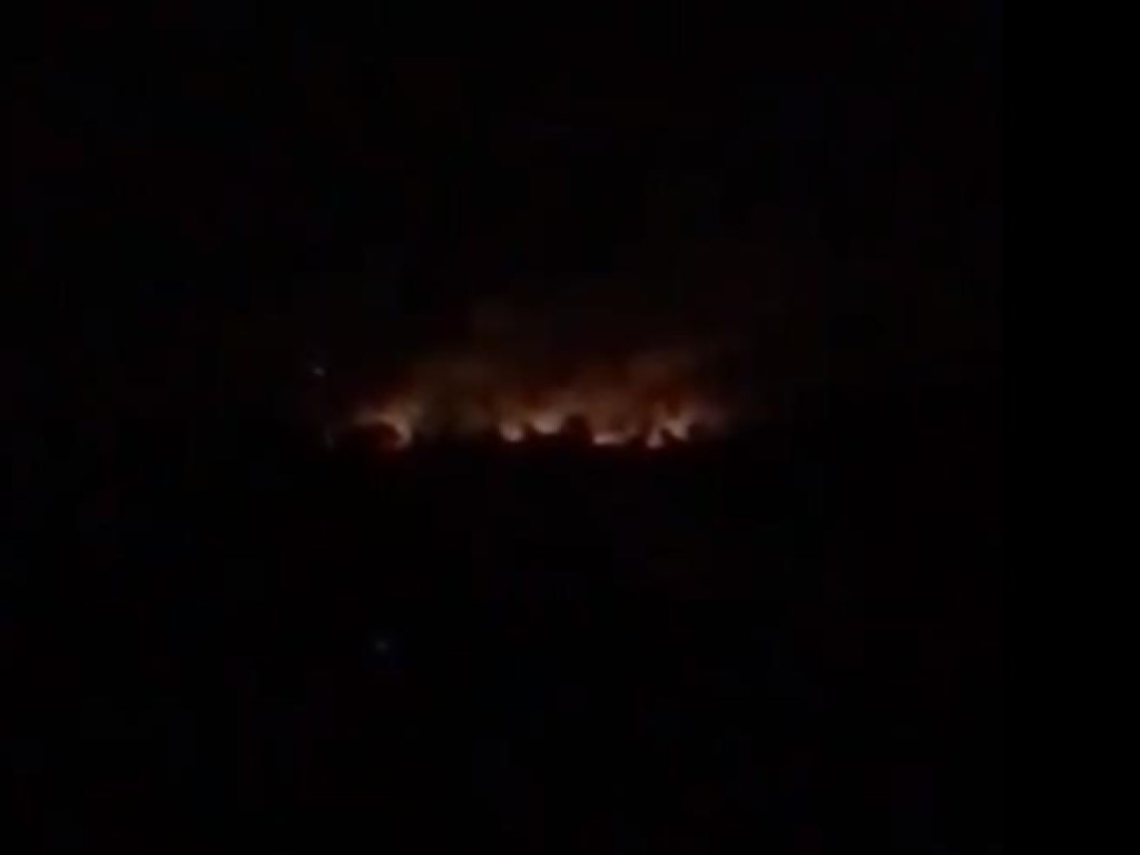 В Киеве вечером произошел мощный пожар в парке Дружбы народов (ВИДЕО)