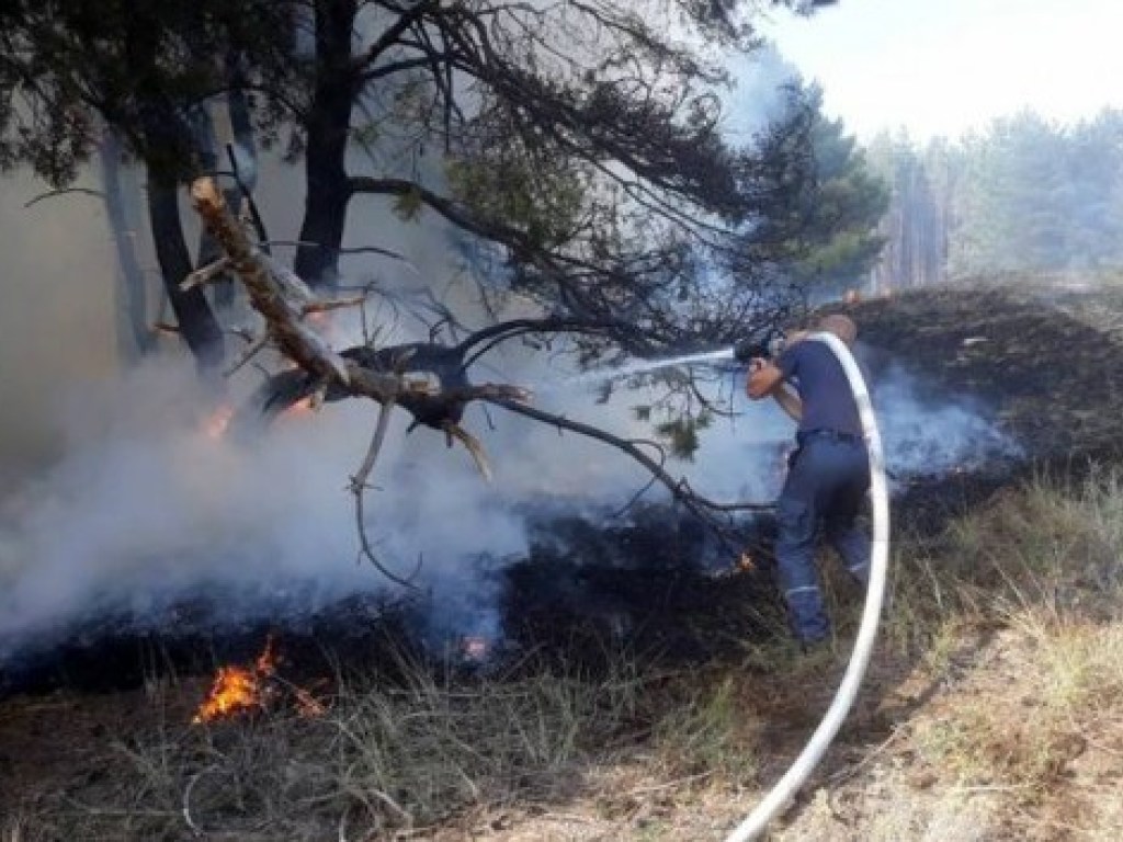 В Полтавской области произошел масштабный пожар в лесу: огонь тушат с помощью авиации – ГСЧС (ФОТО)