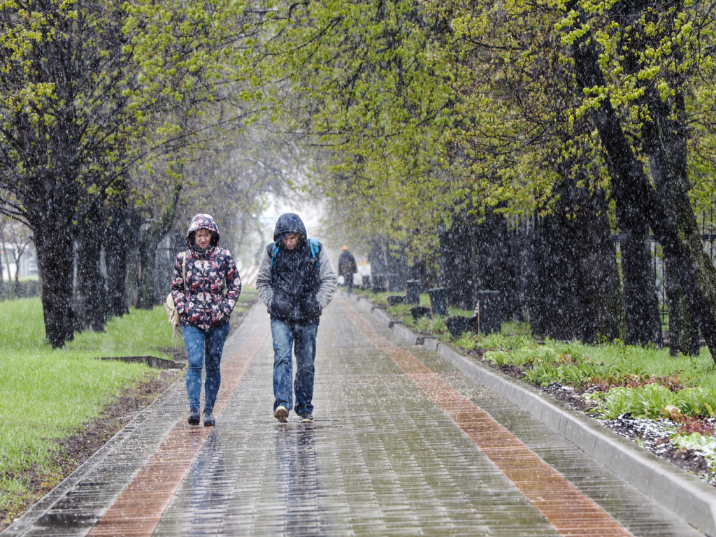 Прогноз погоды на 19 сентября: В Украине похолодает до нуля, штормовой ветер и дожди