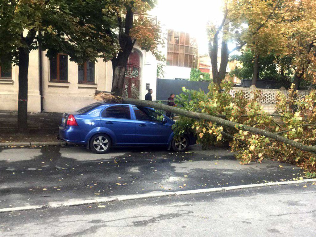 В Харькове ураганный ветер валил деревья: пострадали авто (ФОТО)