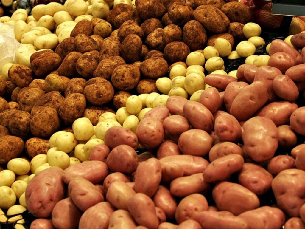 Опасно для жизни: Ученые заявили, что картофель есть нельзя