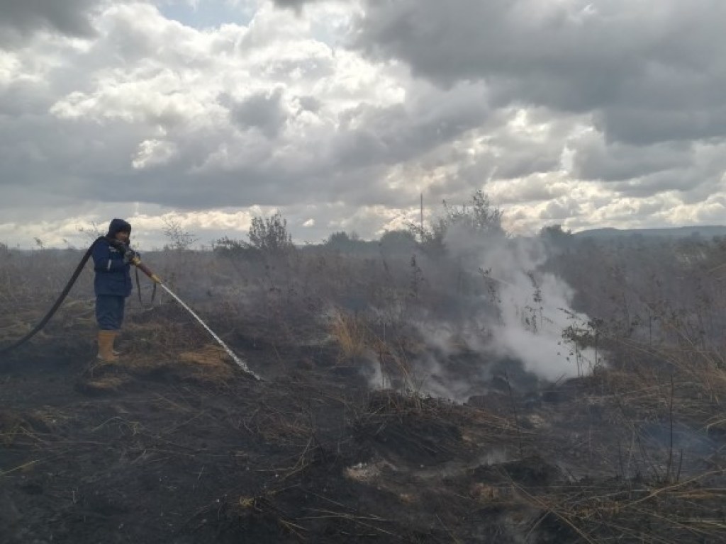 Во Львовской области вторую неделю горят торфяники (ВИДЕО)
