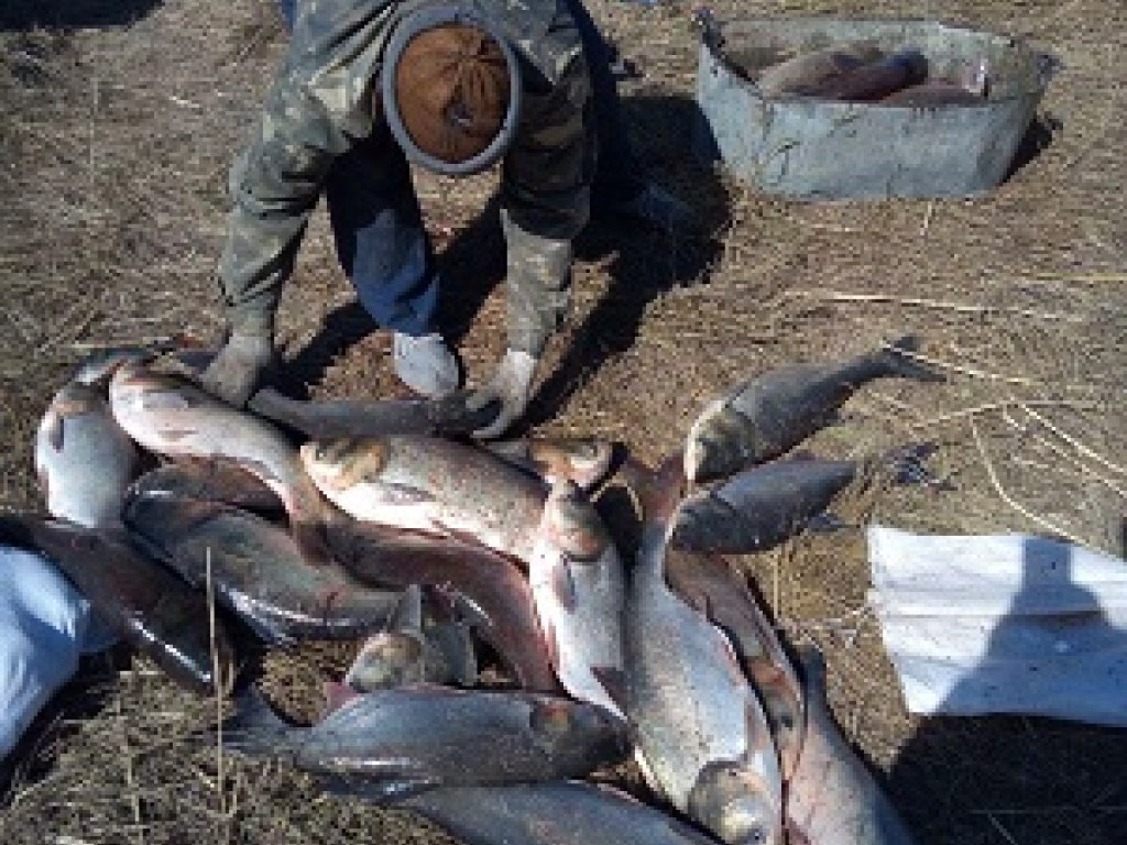 Под Харьковом задержали троих браконьеров (ФОТО)