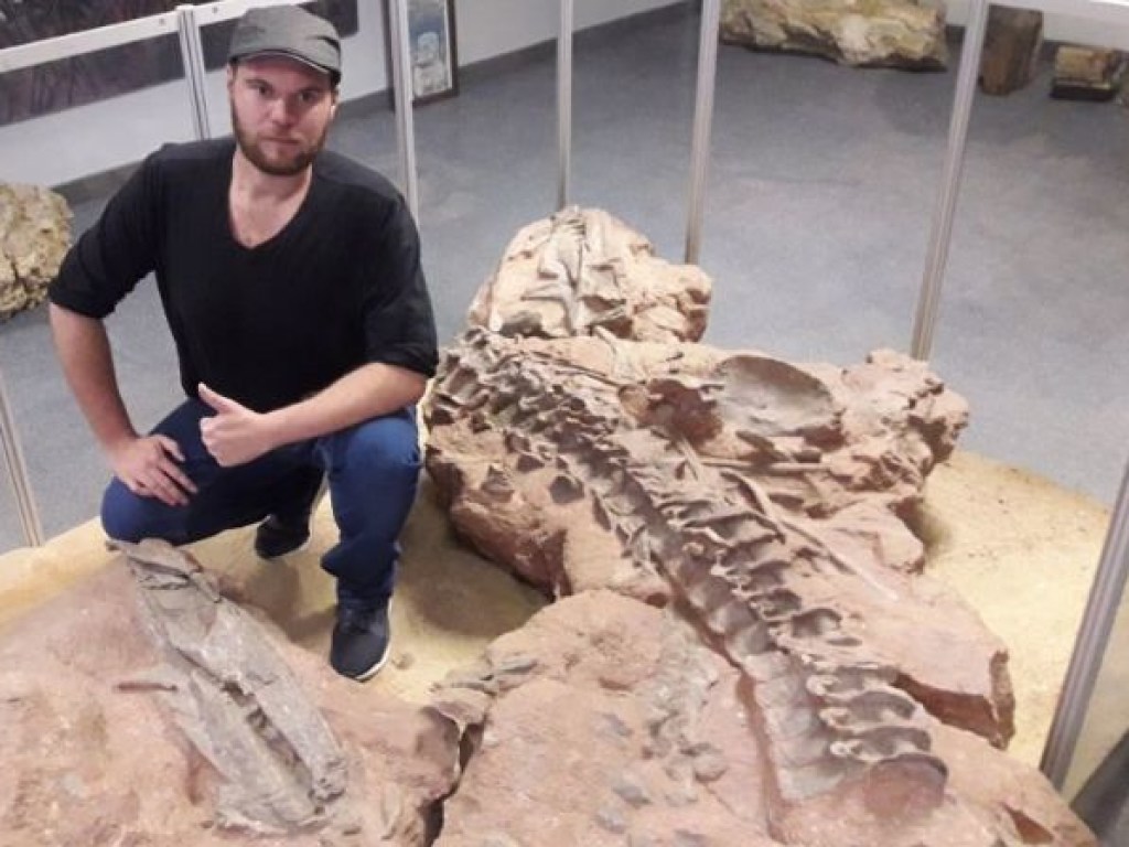 В Африке нашли останки хищников, которые поедали динозавров