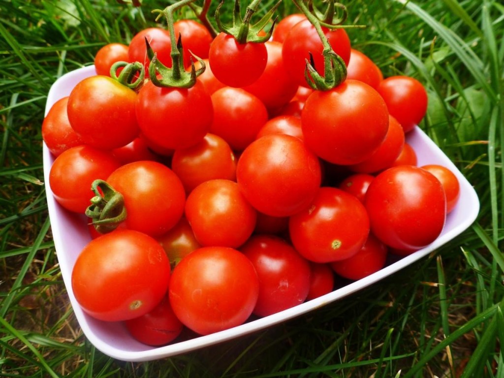 От томатов лучше отказаться: Помидоры «убивают» здоровье – кардиолог