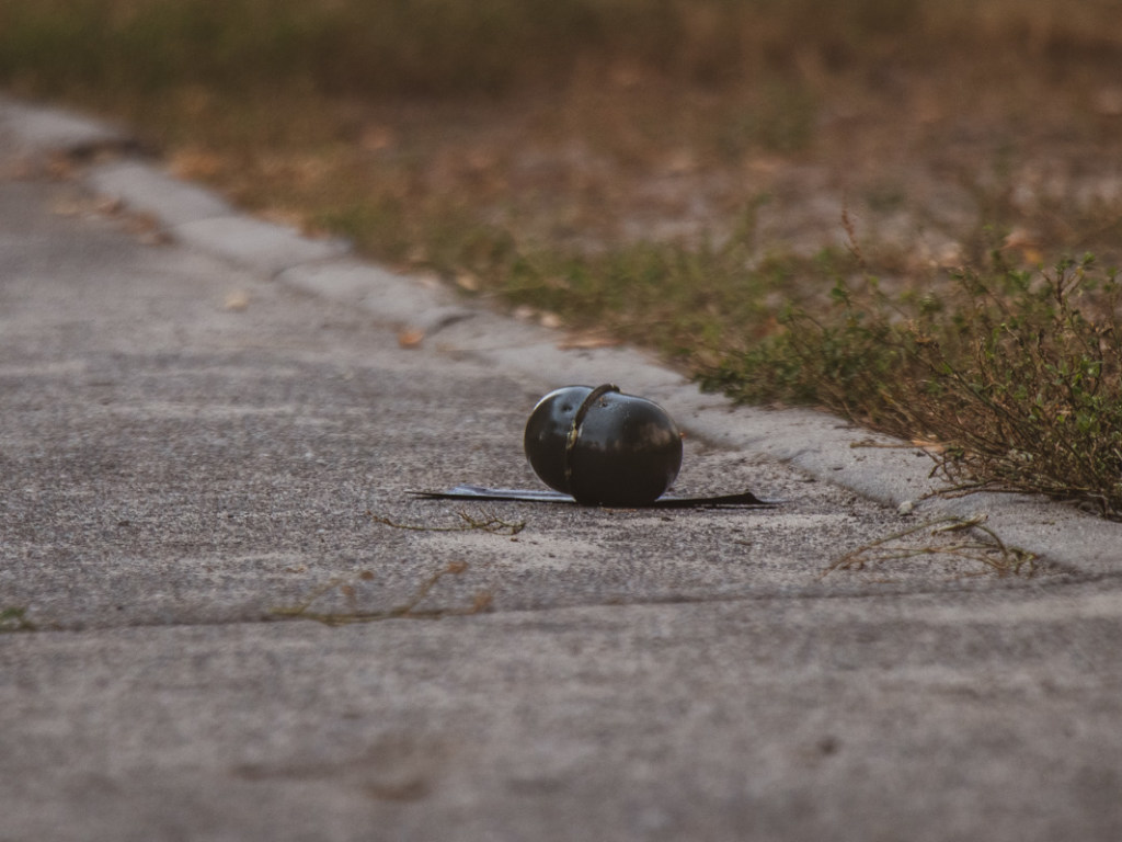 Возле детской площадки на столичной Троещине нашли гранату (ФОТО, ВИДЕО)