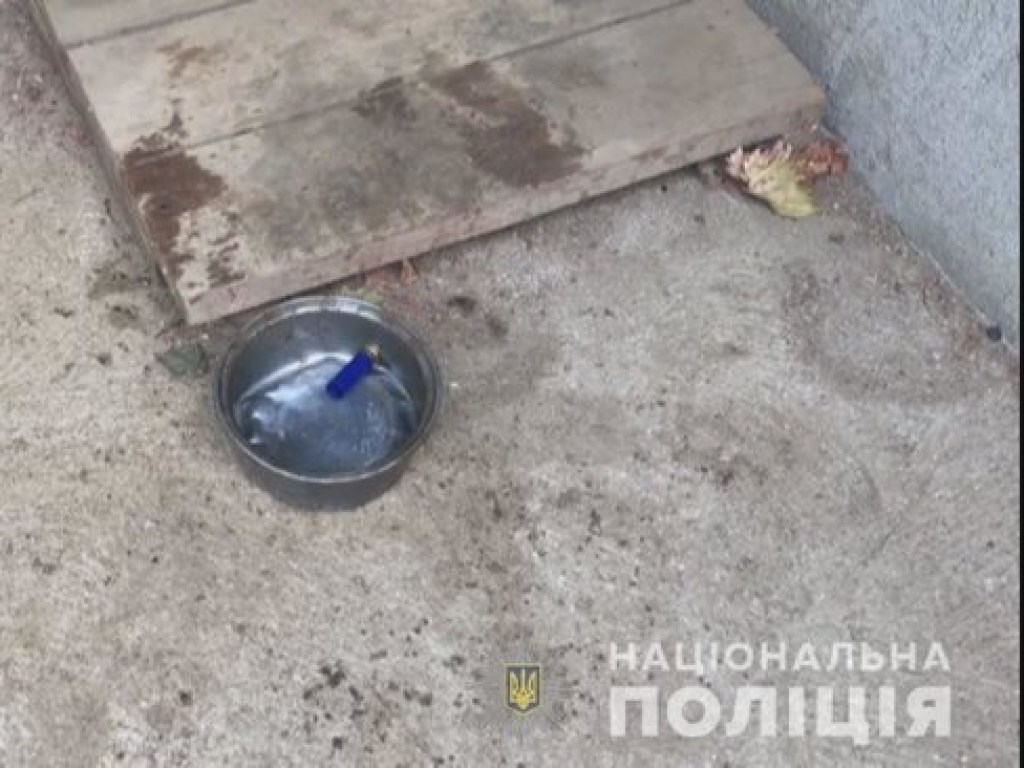 Убийство 15-летнего мальчика в Одесской области: появились фото и видео с места трагедии