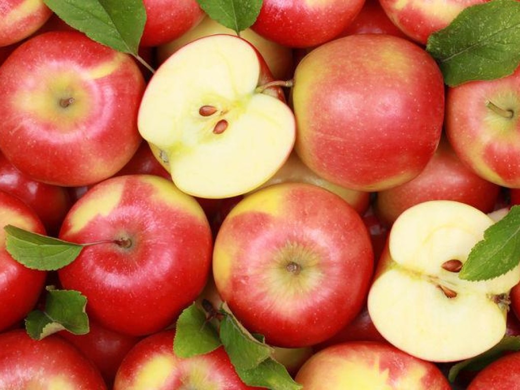 Врач: ежедневное употребление яблок поможет организму быстрее приспособиться к зимнего периоду