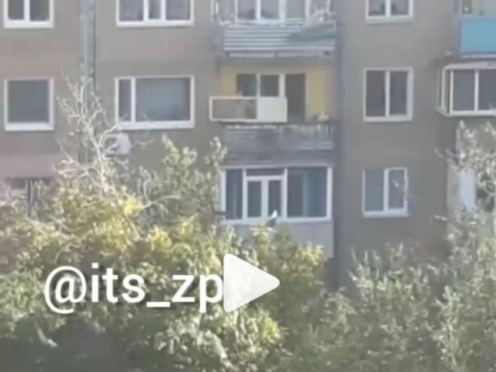 «А как же люди на улице?»: Житель Запорожья выбросил с балкона многоэтажки стеклянную дверь (ВИДЕО)