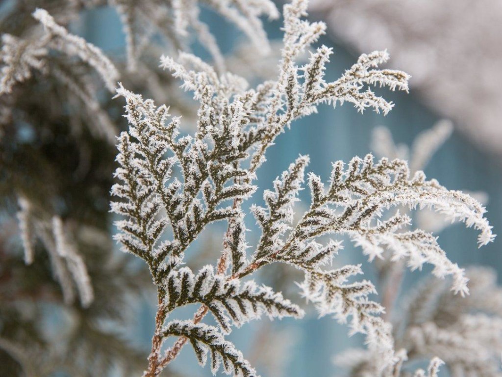 Украинцев ожидают заморозки и грозы: в ГСЧС предупредили об ухудшении погодных условий