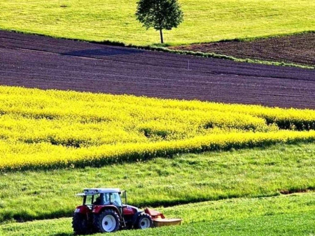 Большинство украинцев выступают против отмены моратория на продажу земли – эксперт