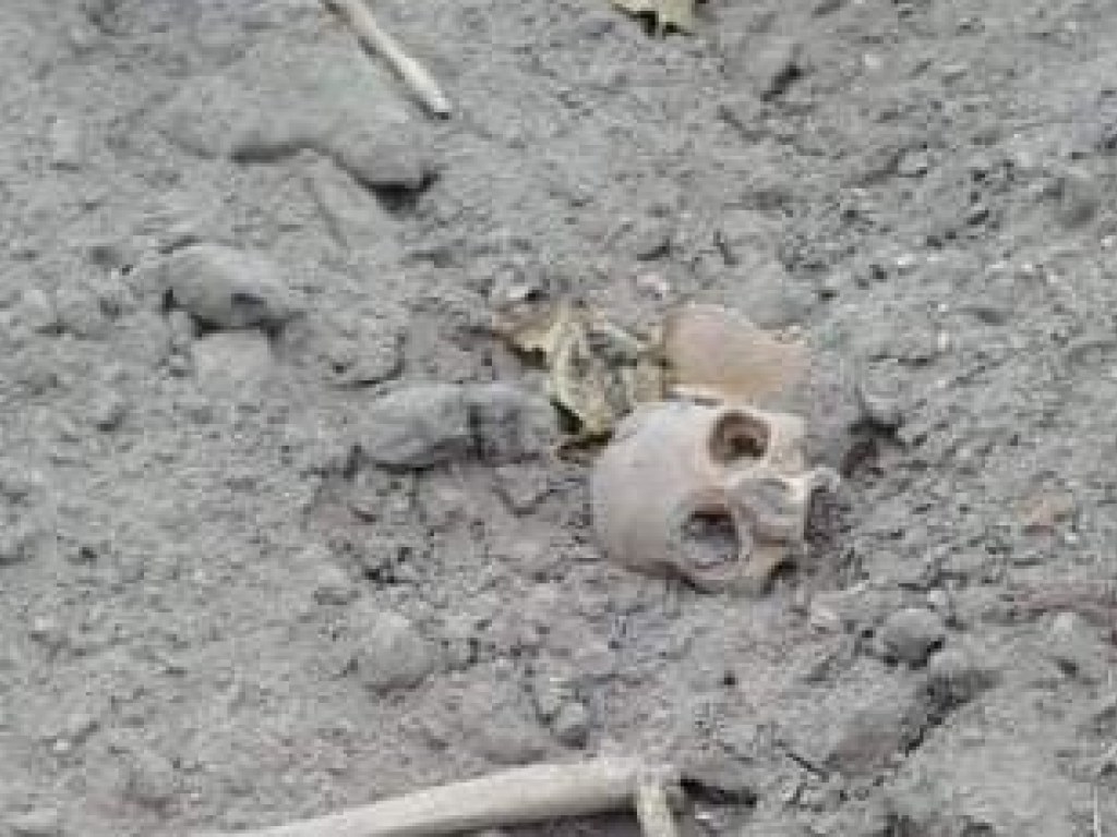 В Белой Церкви на месте бывшего еврейского кладбища строители нашли человеческие останки (ФОТО, ВИДЕО)