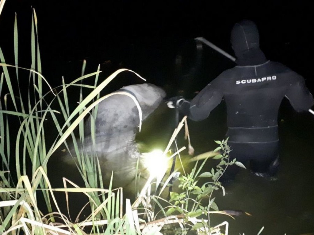 В Дарницком районе Киева из озера достали утонувшего коня (ФОТО)