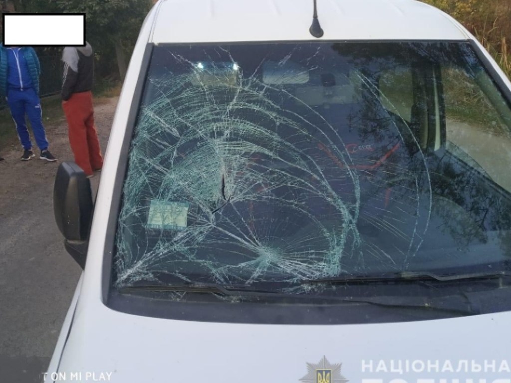 Пьяный водитель Opel сбил 13-летнюю девочку на Закарпатье (ФОТО)
